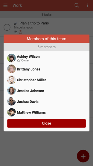 List of team members